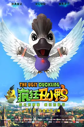 **网站