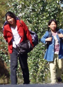 宫廷欲奴h采女