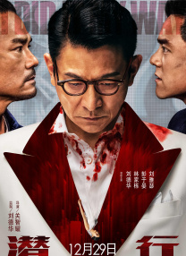 久久这里只有精品免费视频
